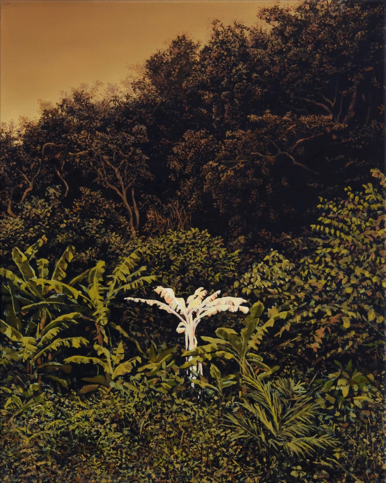 Bruno Gadenne, El Dorado, 2025