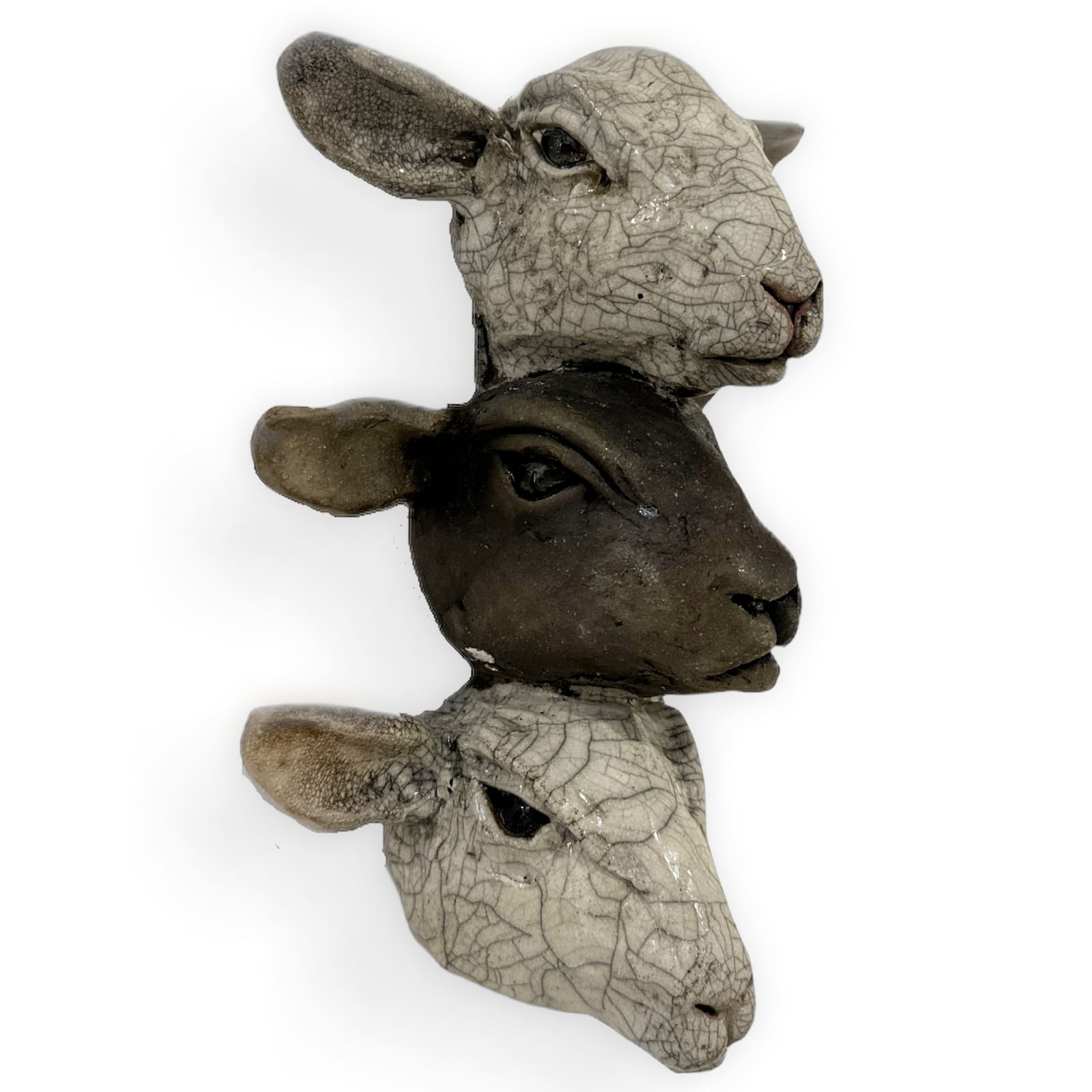 R & B Ceramics, Baa Humbug, 2025