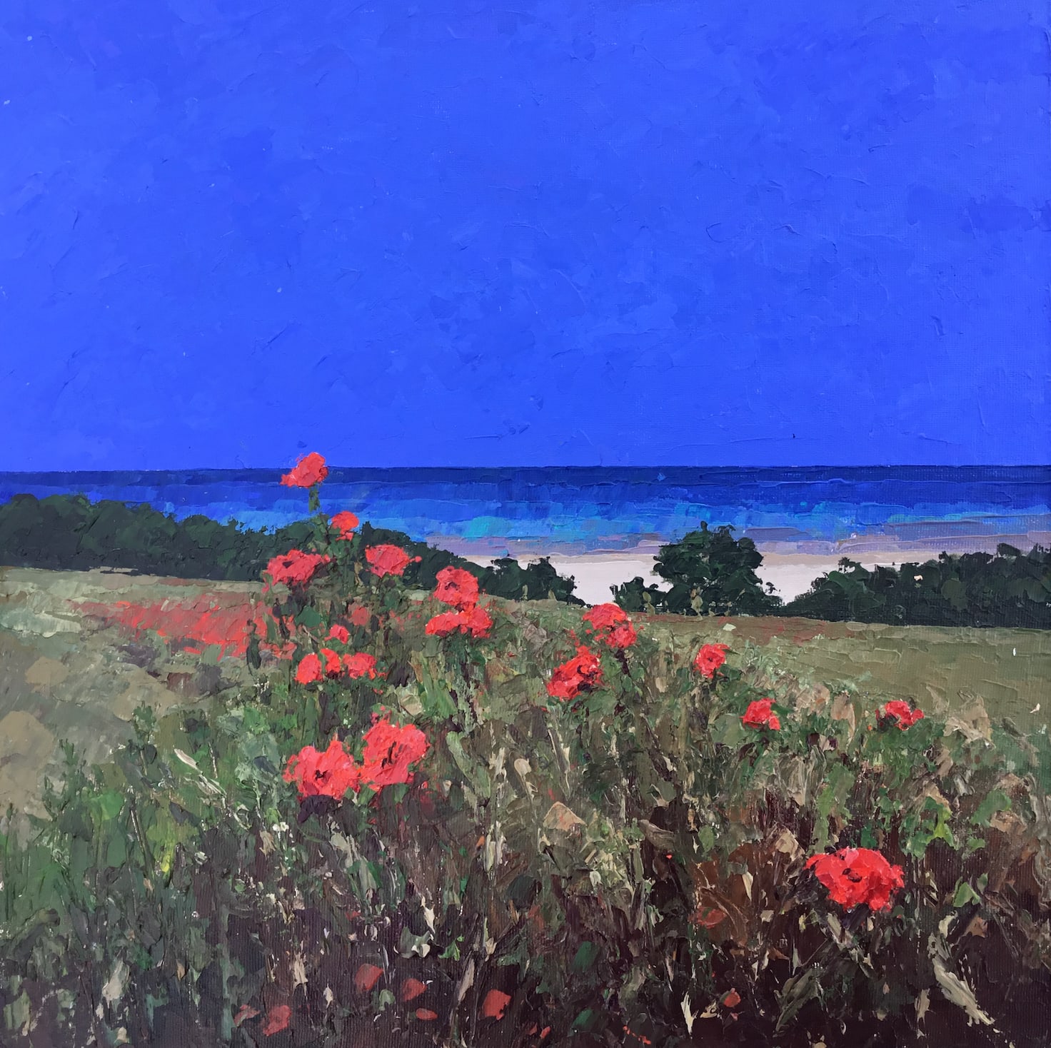 Alec Macdonald, Poppies, North Norfolk