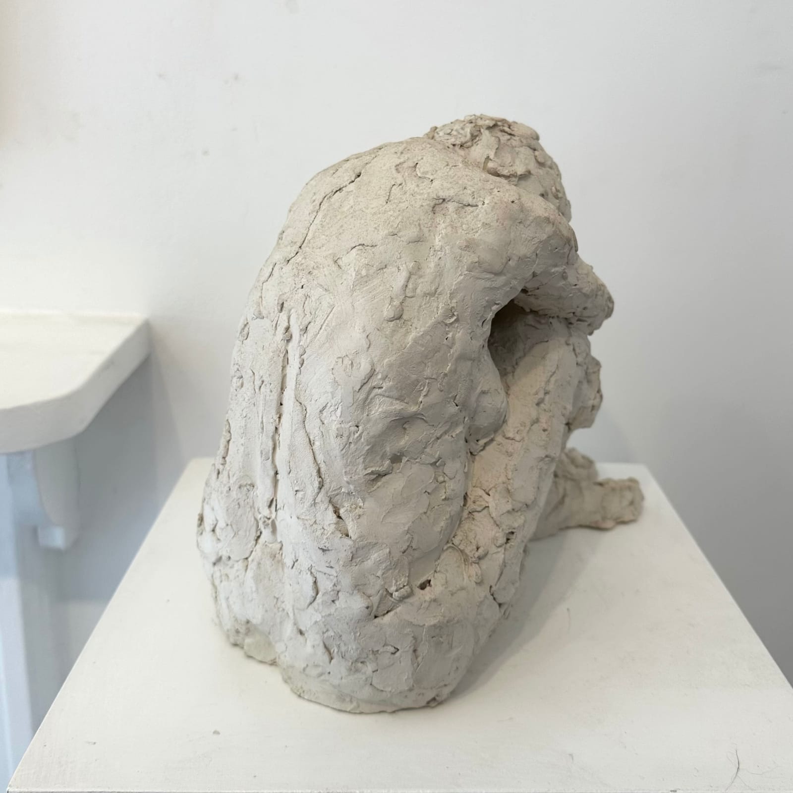 Brian Hayman, Sheltered