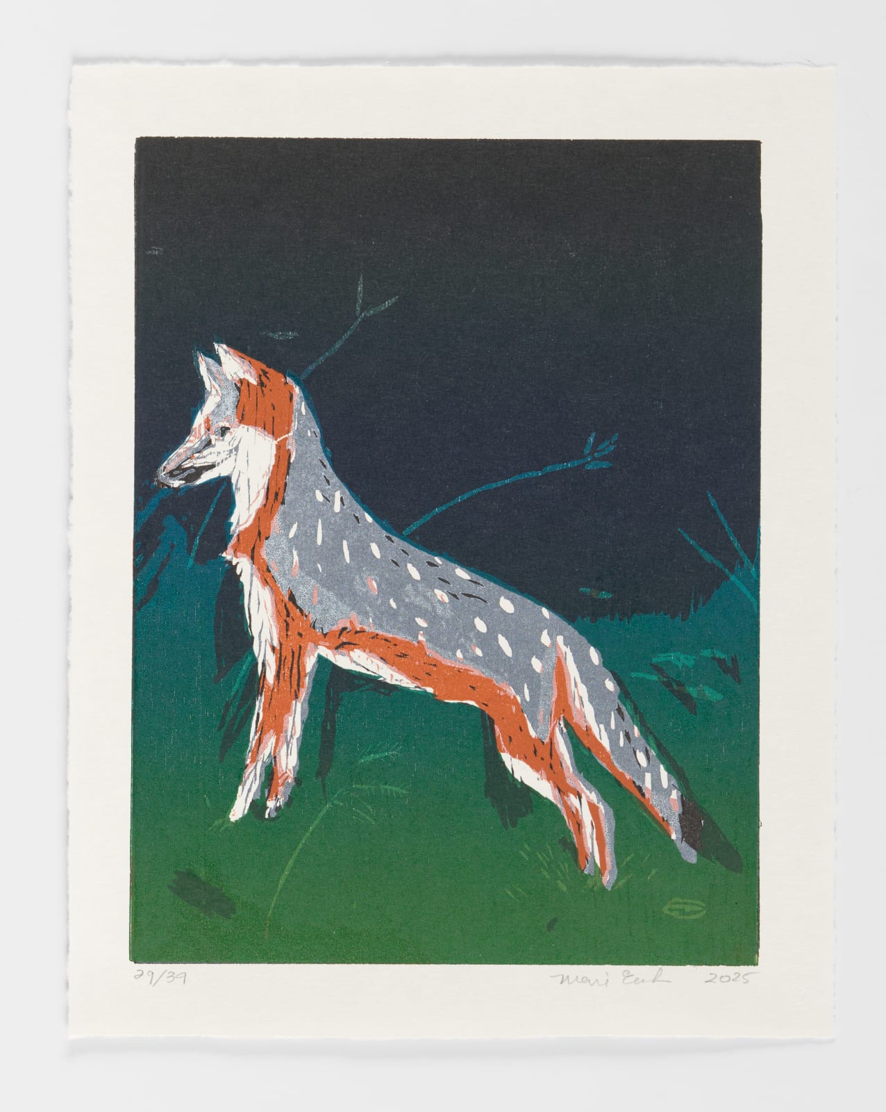 Mari Eastman, Untitled (Gray Fox), (29/34), 2025