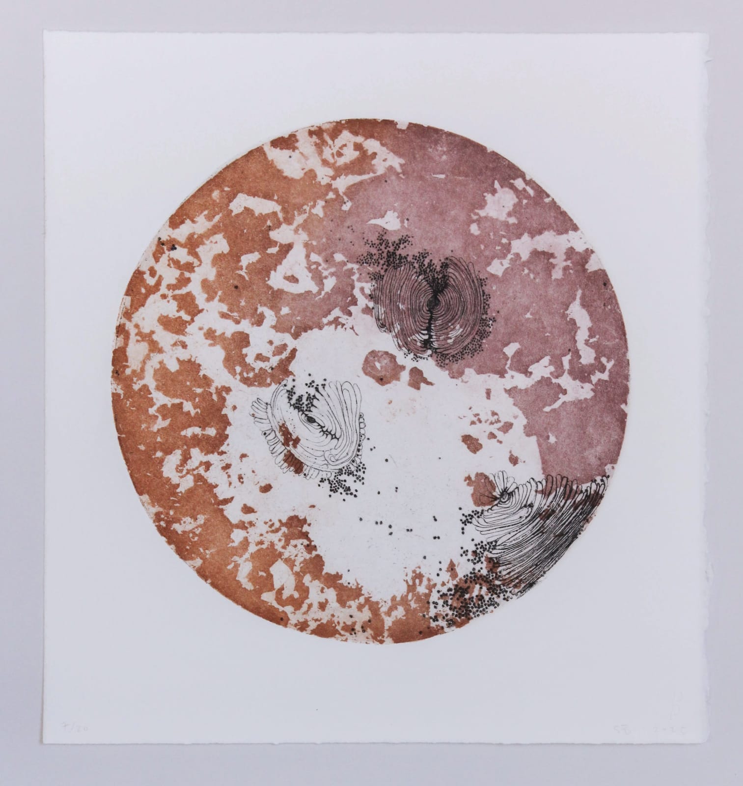 Sofía Fernández Díaz, cuerpo (7/20), 2025