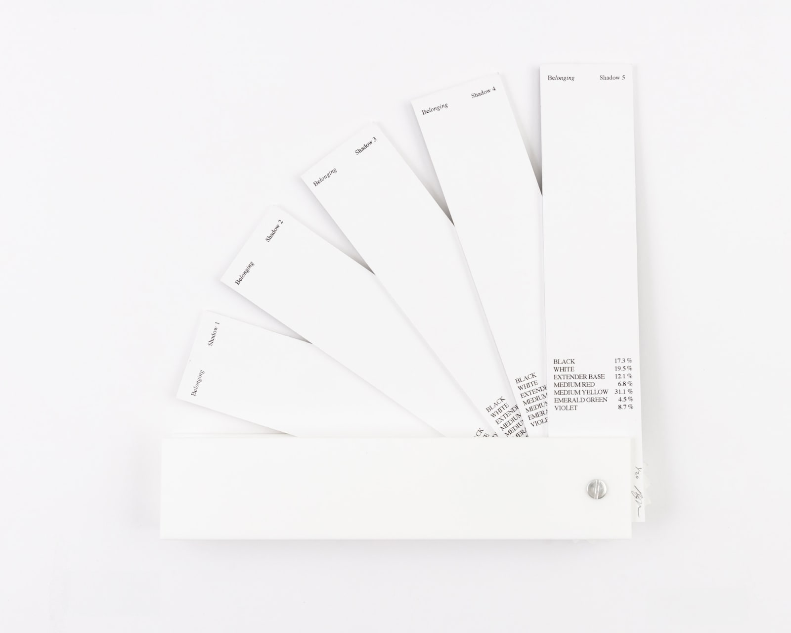 Matthew Metzger, Belonging: The Other Shadows, 2024