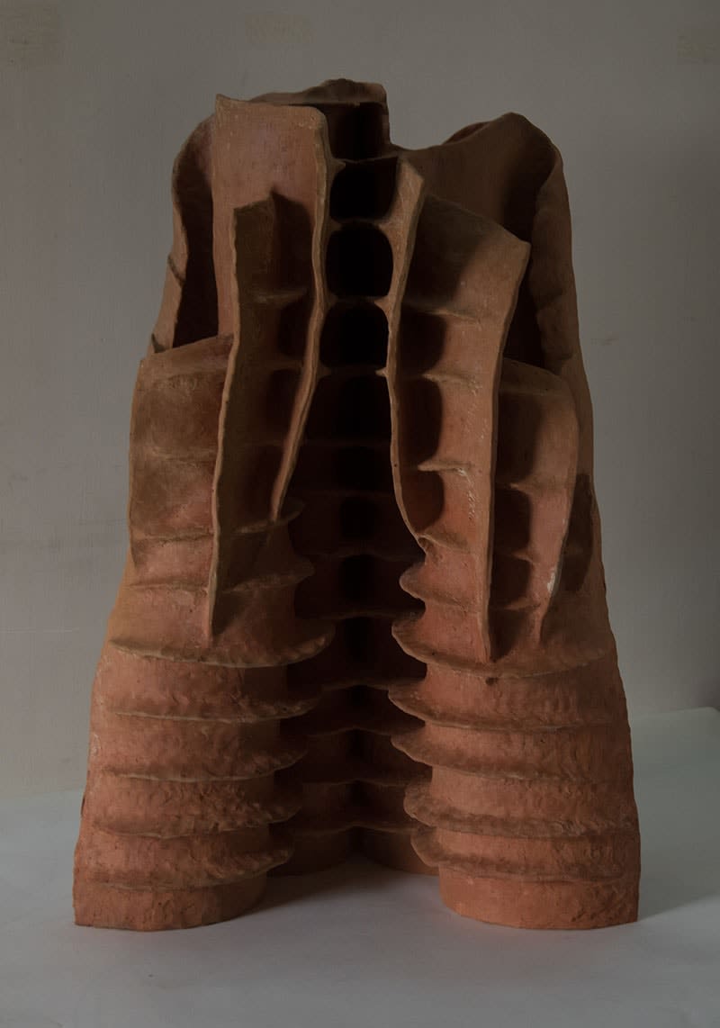 Khageswar Rout, Study of Things, "Ringworm Senna", 2017