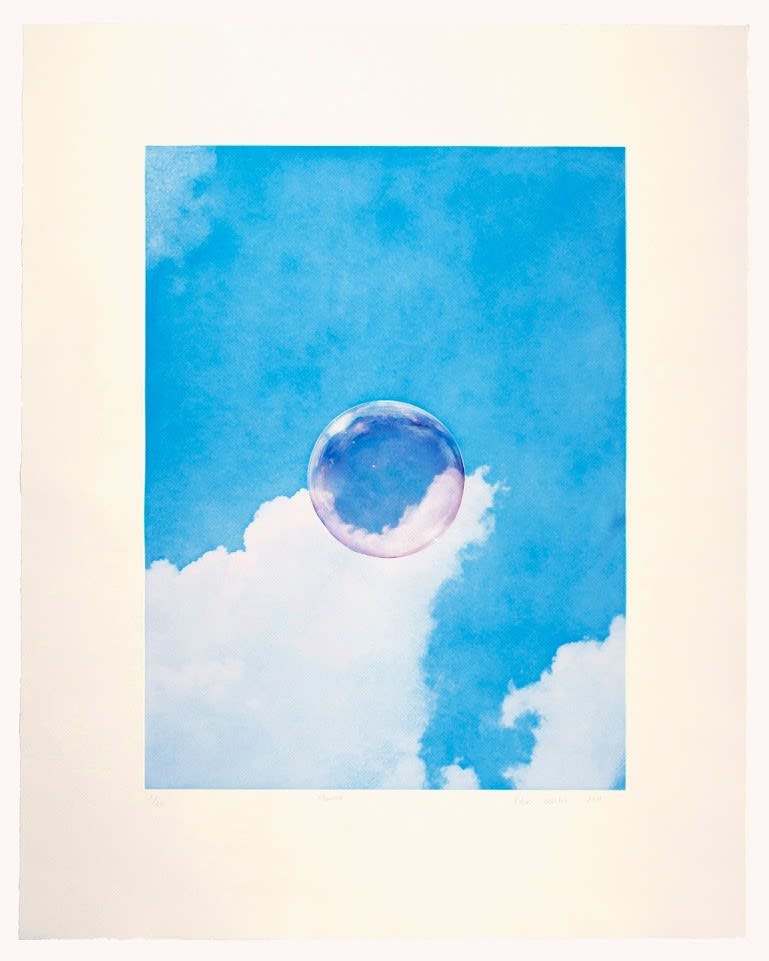 Rohini Devasher, Elseworld, 2019