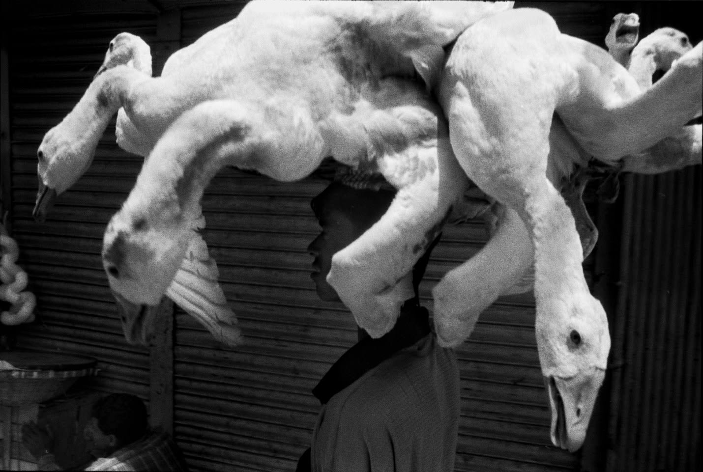 Munem Wasif, Stereo 5, 2022