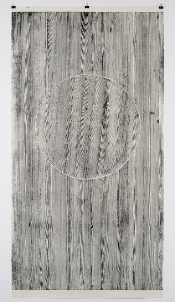 Neha Choksi, Touching Integrity (Larch), 2016