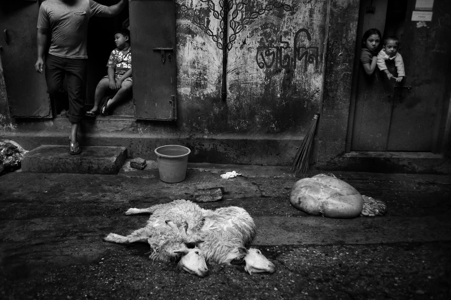 Munem Wasif, Stereo 8, 2022