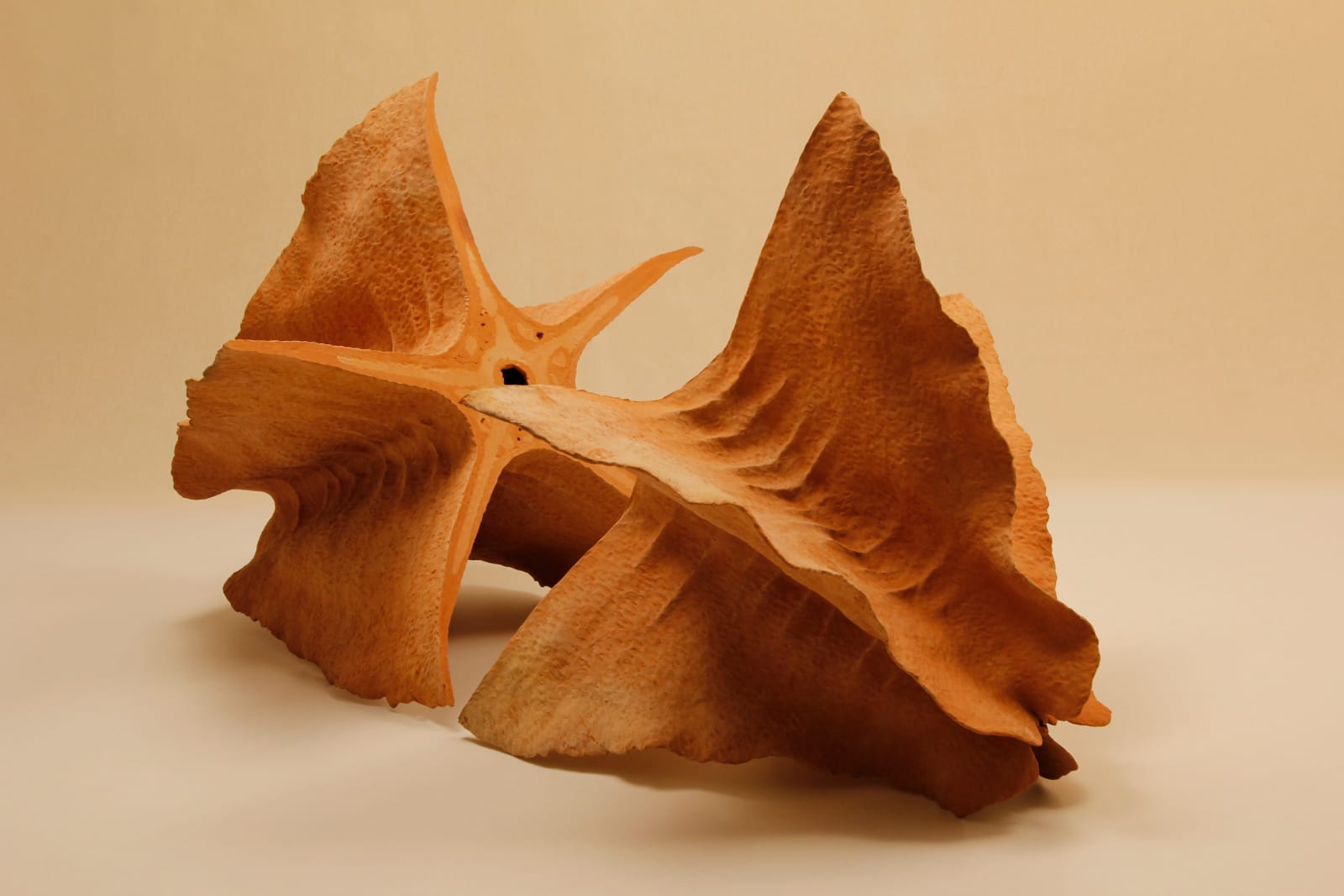 Khageswar Rout, ANNEX & DISSEVER CODE XVIII, 2020