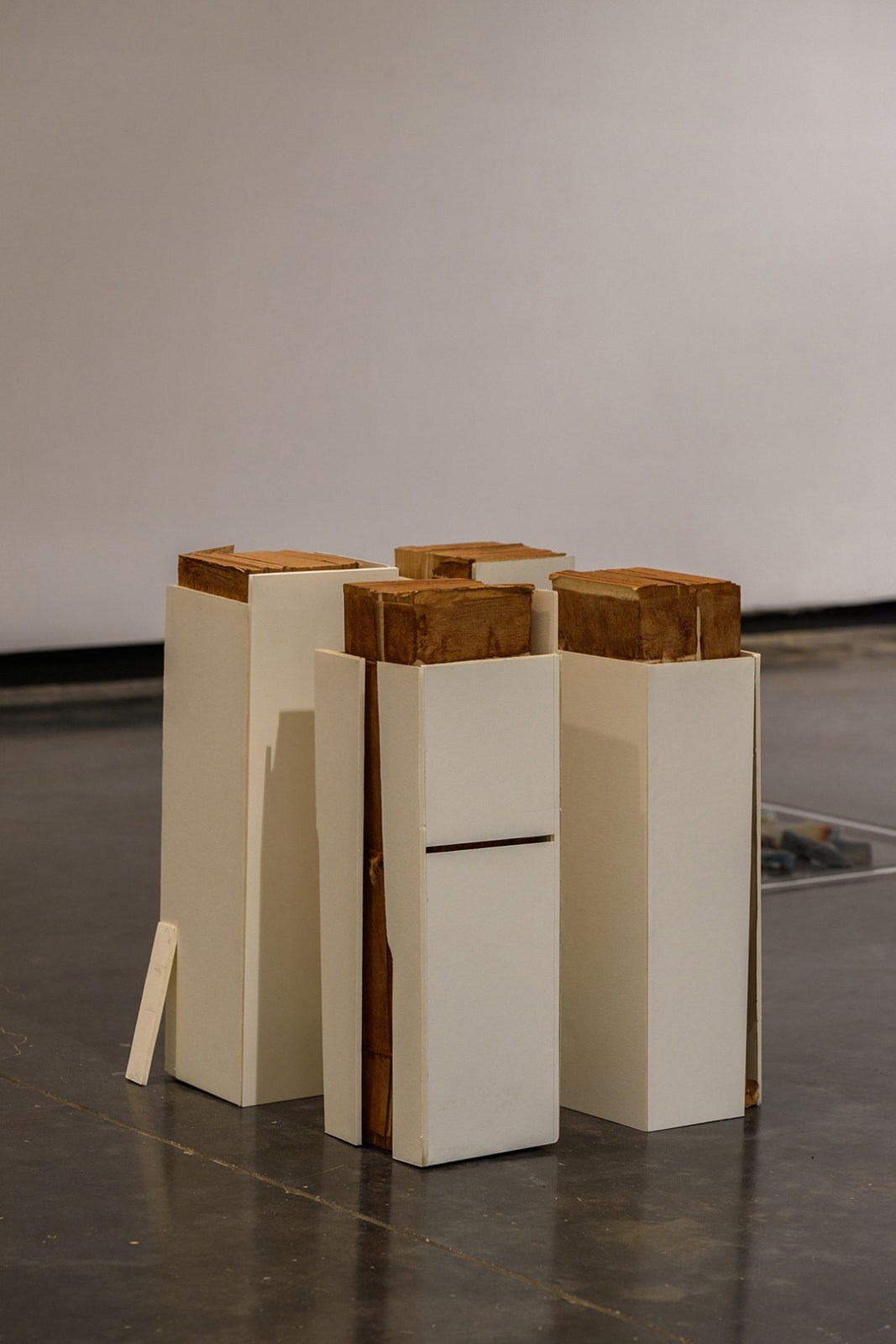 Hemali Bhuta, Stumps, 2015