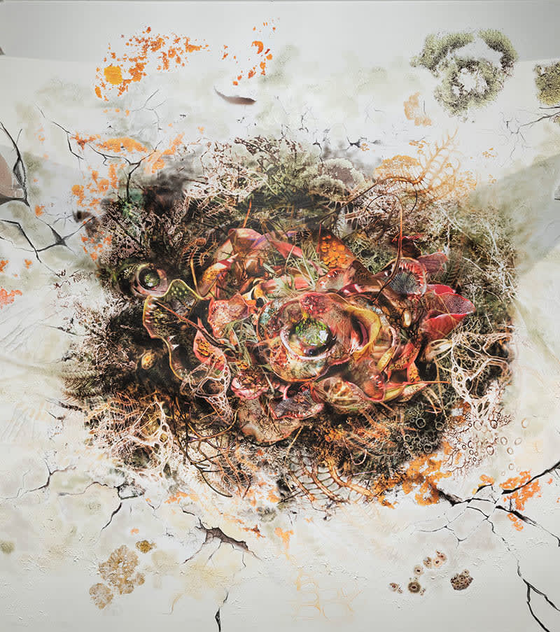 Rohini Devasher, Genetic Drift Symbiont 2, 2018