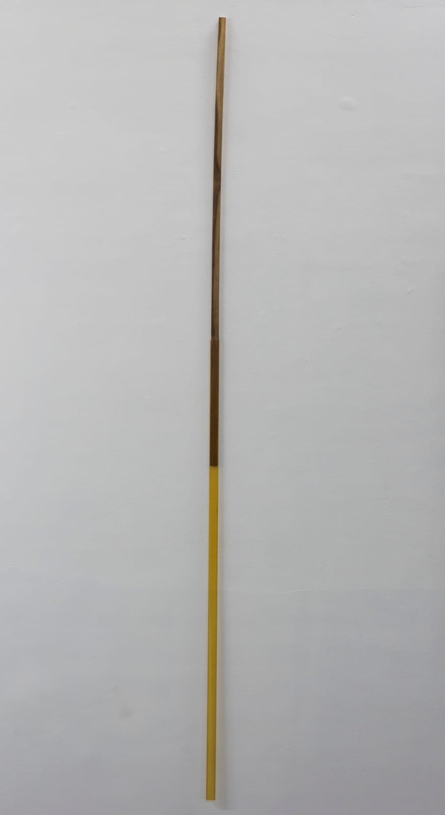 Shreyas Karle, Slipped , 2018