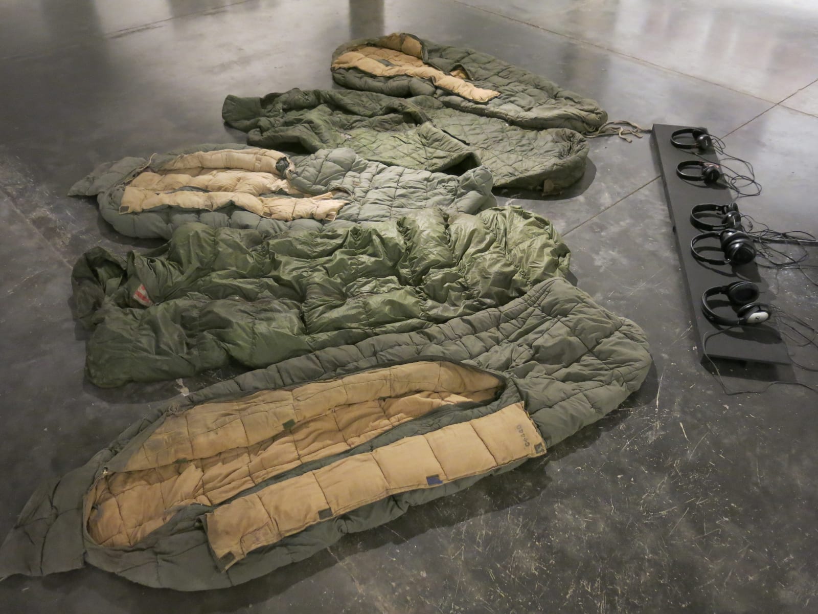 Baptist Coelho, Dream Speech, 2015