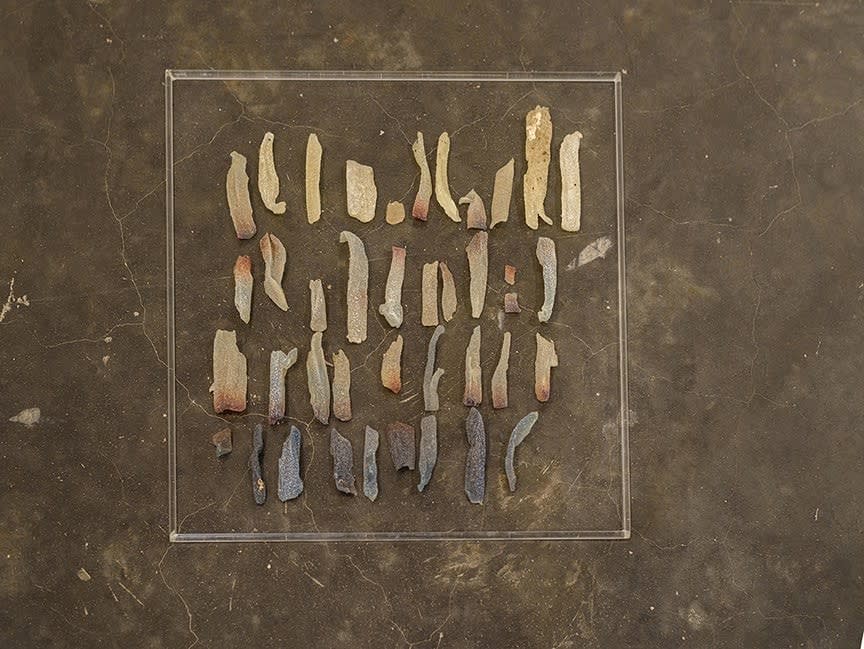 Hemali Bhuta, Pieces Of The Circumference, 2015