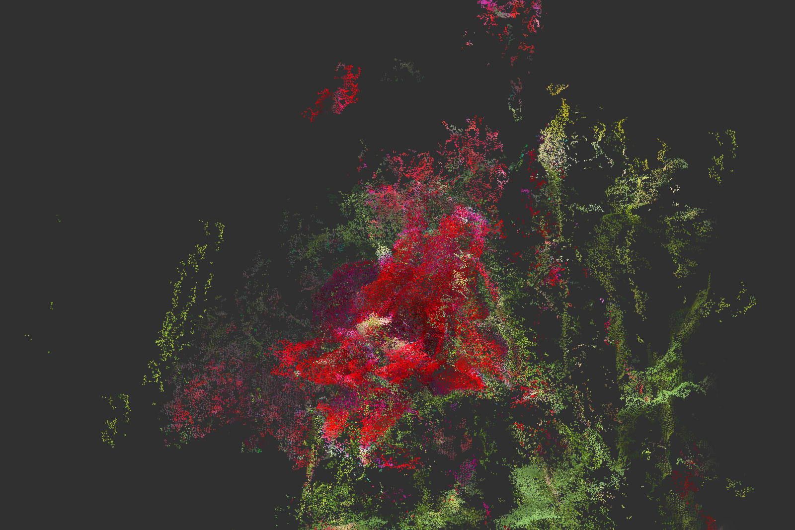 Moonis Ahmad, Corpse Leuk, 2024