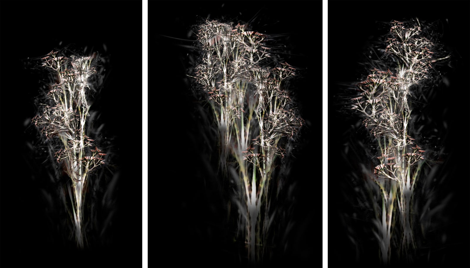 Rohini Devasher, Untitled I, II and II from the Bone Tree Series, 2014