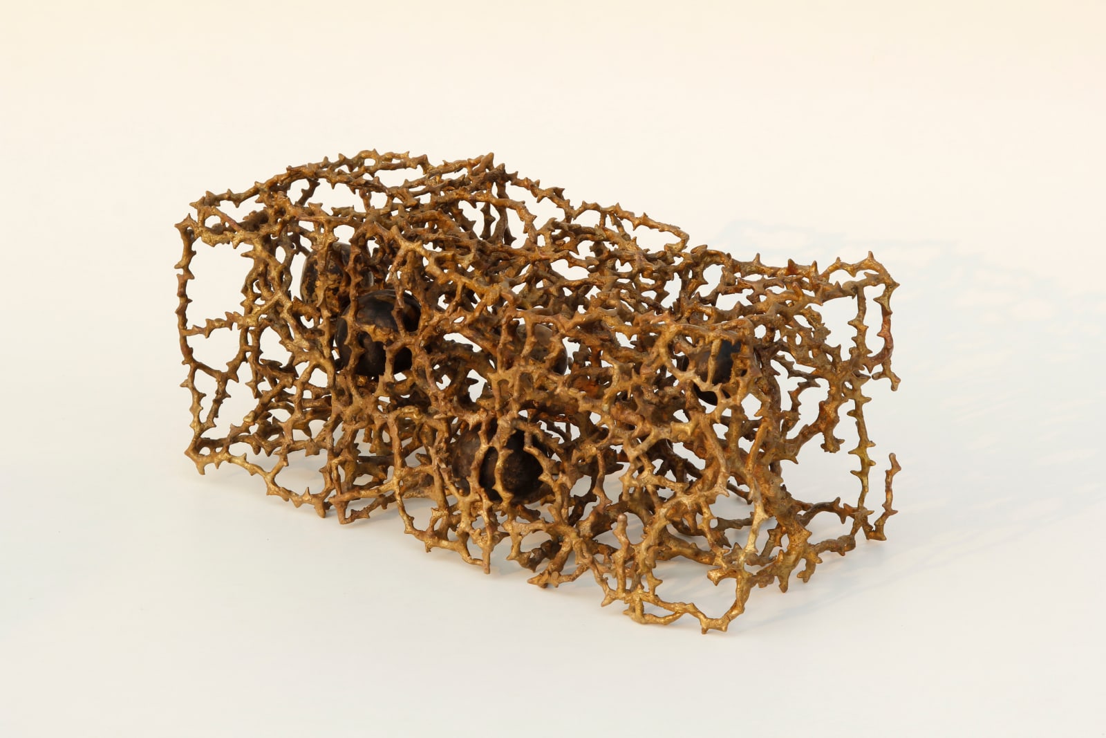 Khageswar Rout, ANNEX & DISSEVER CODE XX, 2020