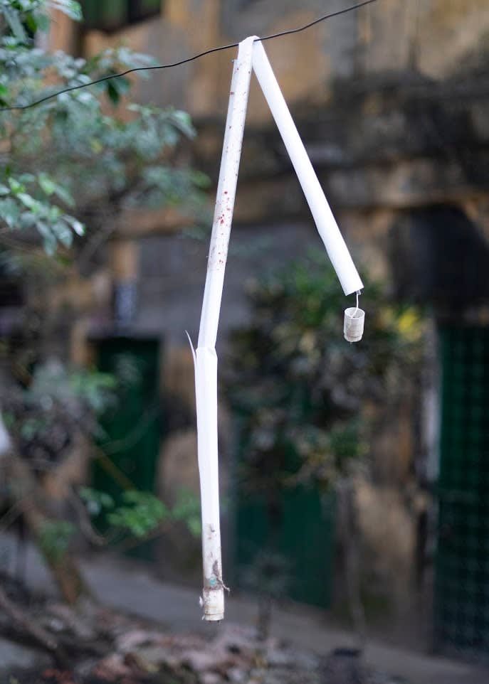 Munem Wasif, Stereo 28, 2022