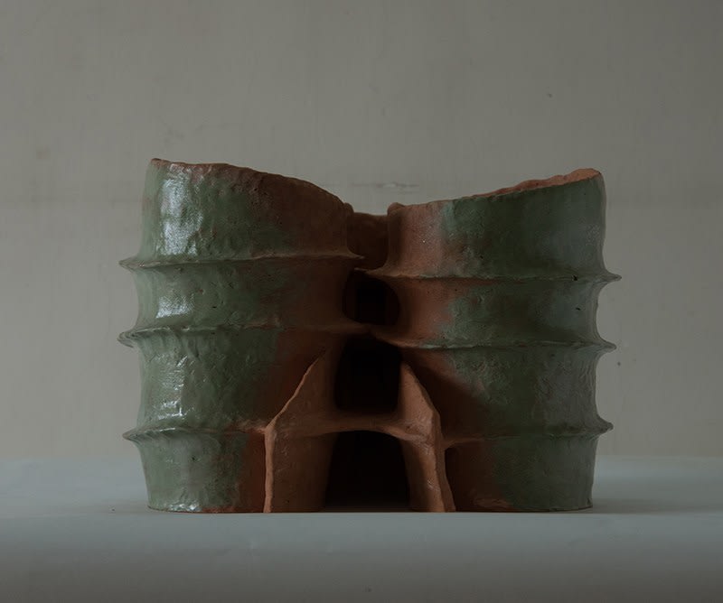 Khageswar Rout, Study of Things, "Ringworm Senna", 2017