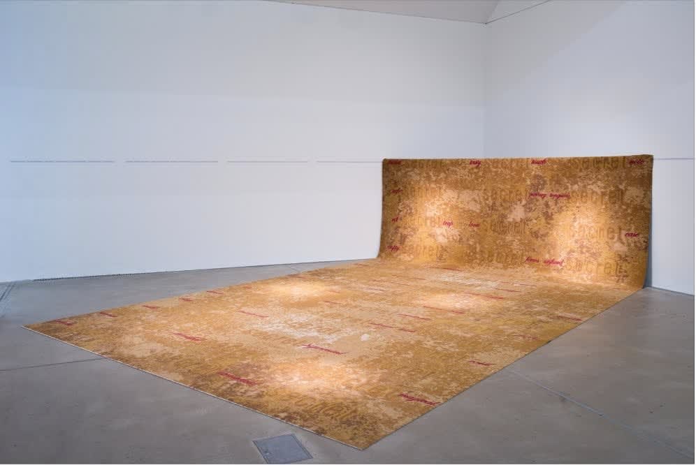 Pallavi Paul, Terra Firma, 2017