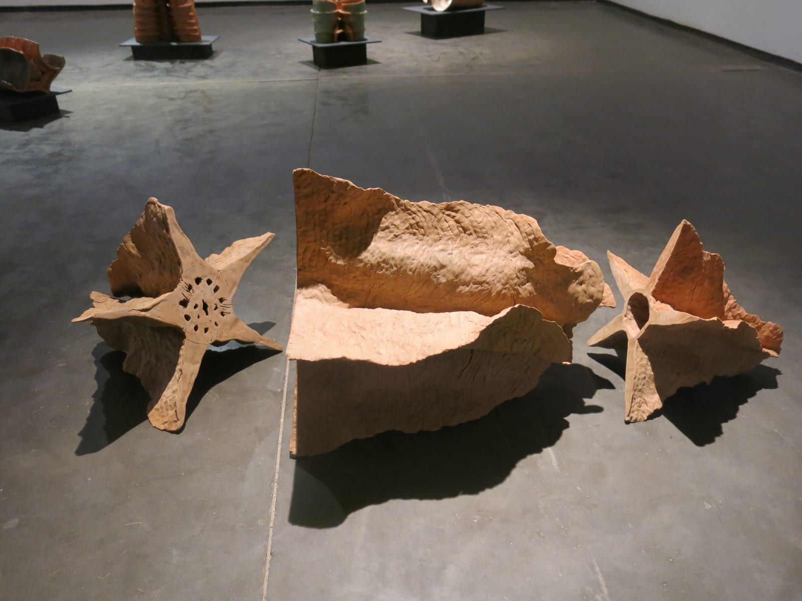 Khageswar Rout, Sudy of Things, Bone of cotton Seed, 2015