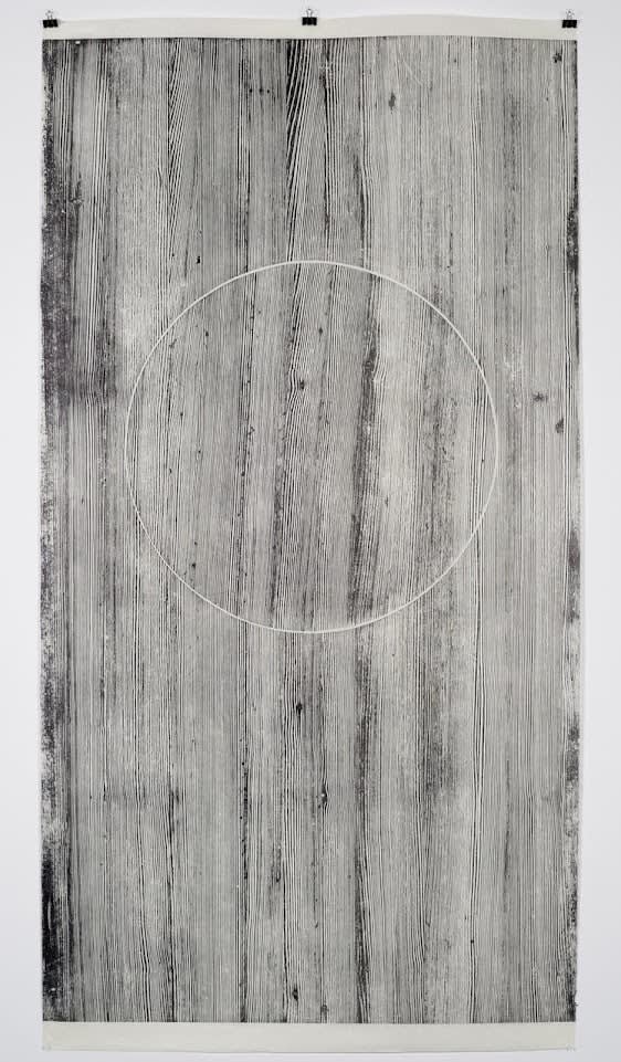 Neha Choksi, Touching Integrity (Larch) 3, 2016