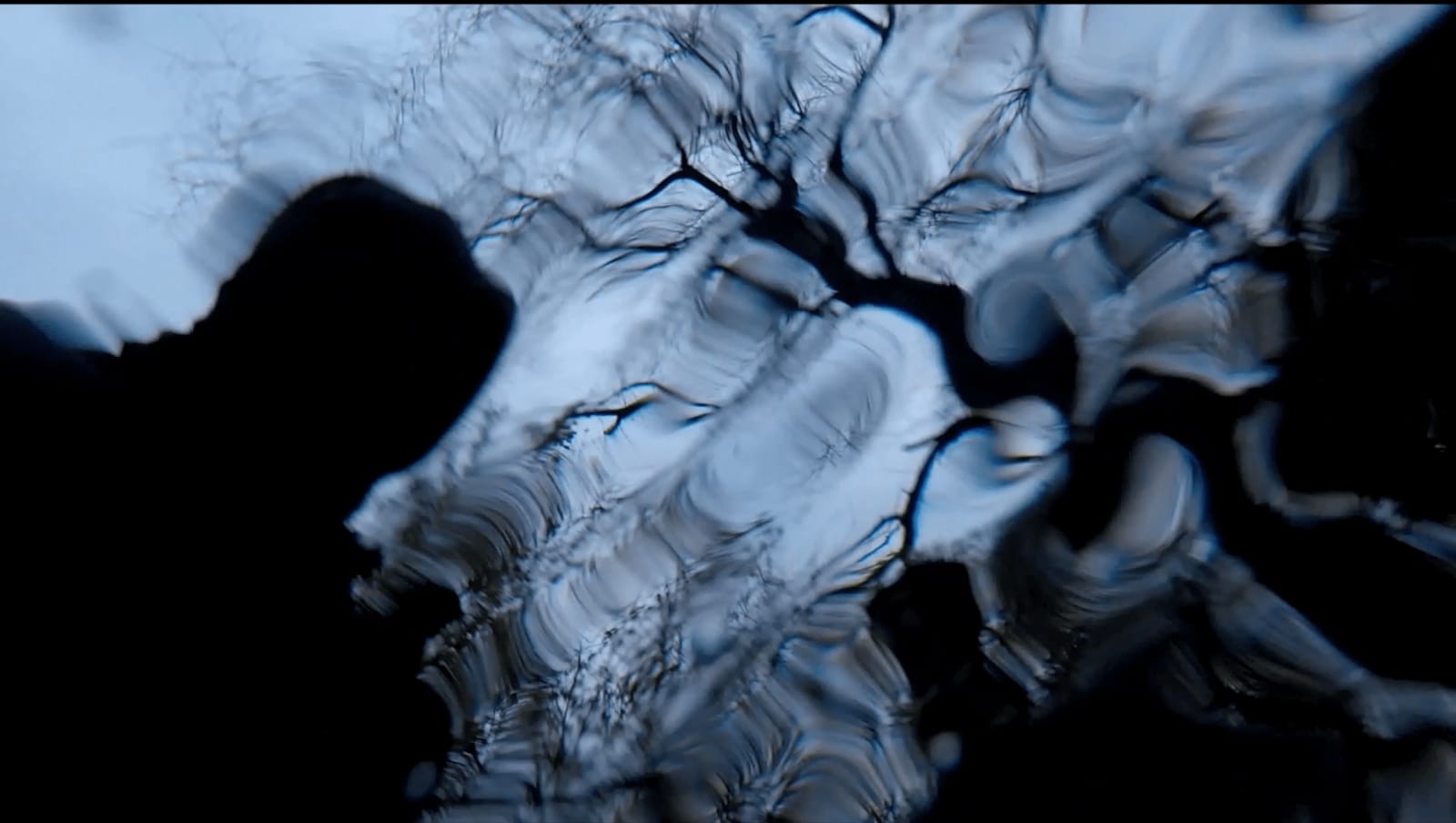 Malik Irtiza, Thokei, 2024