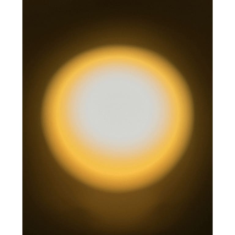 Munem Wasif, Borges and blindness, 2020