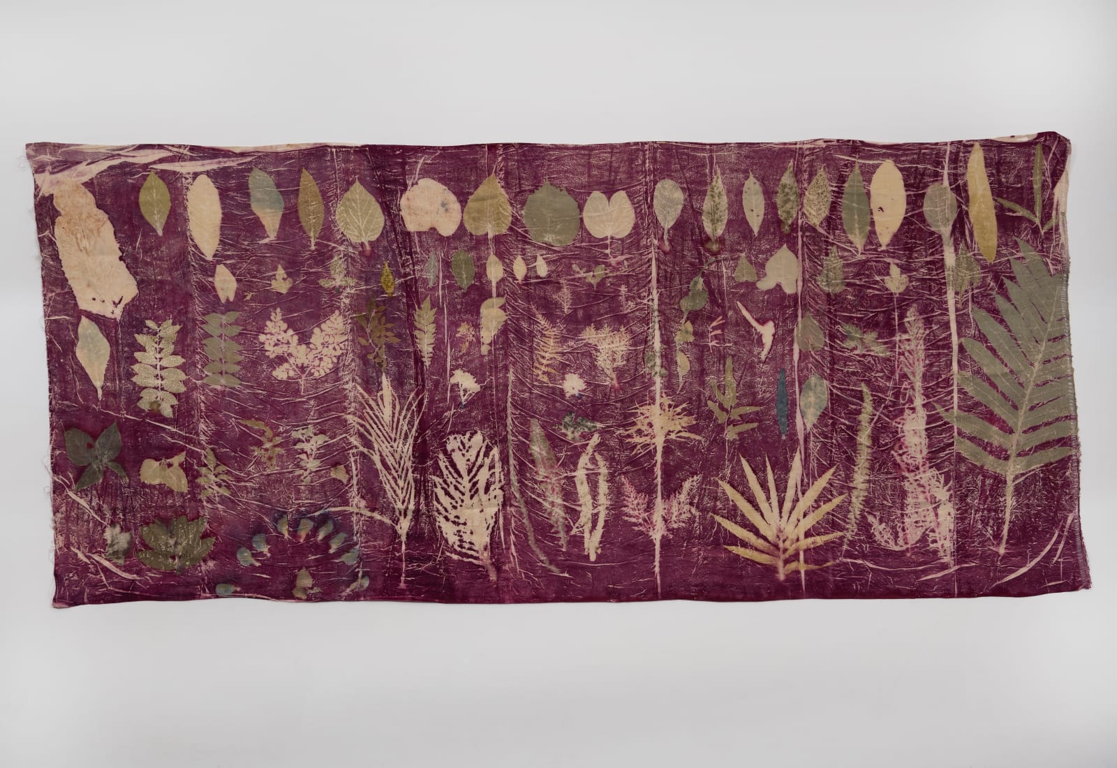 Hemali Bhuta, A gift 5, From the Garden of CONA, collaboration with Gorika singla, 2022