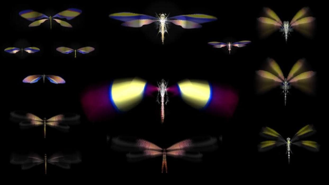 Rohini Devasher, Cabinet 1 Odonata (Dragonfly) Hopeful Monsters, 2018