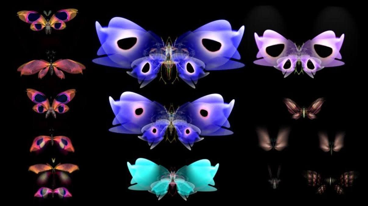 Rohini Devasher, Cabinet 4 Lepidoptera (Butterfly) Hopeful Monsters, 2018