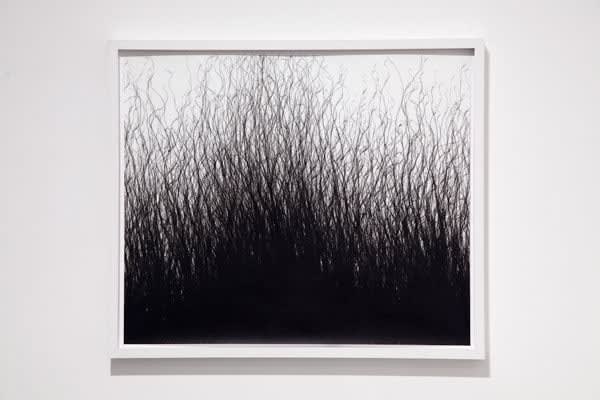 Sandeep Mukherjee, Untitled, 2010