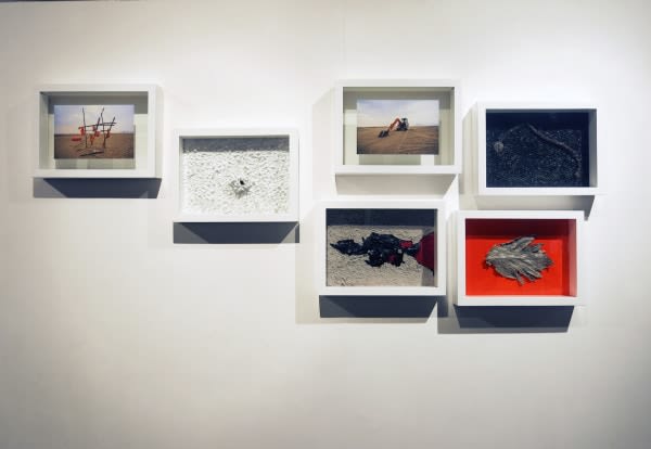 Pallavi Paul, Under Controlled Circumstances Series, 2014