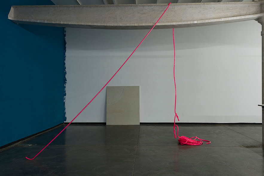 Shreyas Karle, Frustrated gardener, 2017