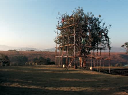 Neha Choksi, Leaf Fall, 2008