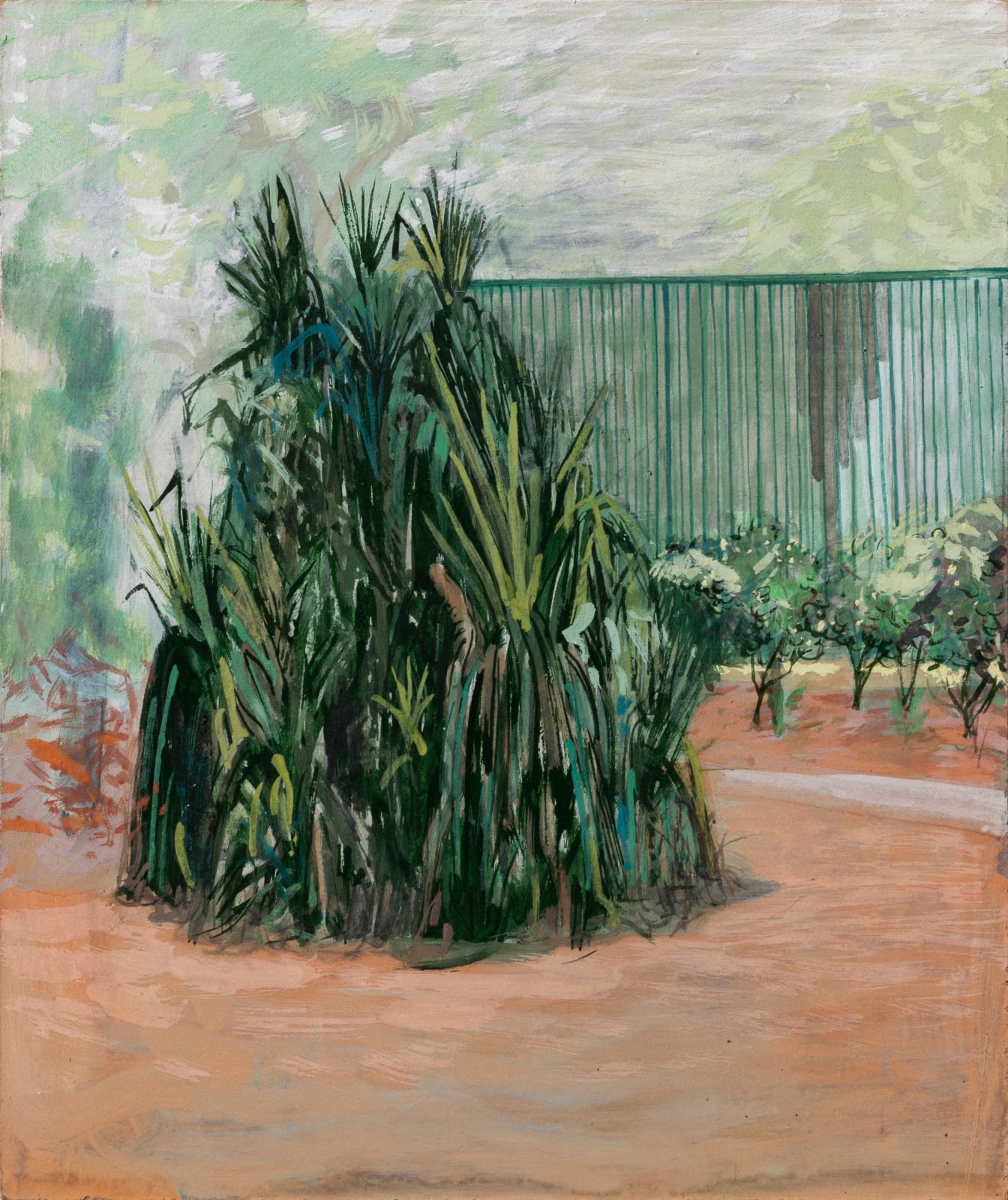 Mahesh Baliga, Kamitibaugh, 2018-19