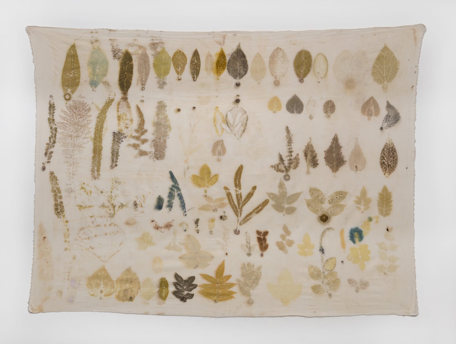 Hemali Bhuta, A gift 1, From the Garden of CONA, collaboration with Gorika singla, 2022