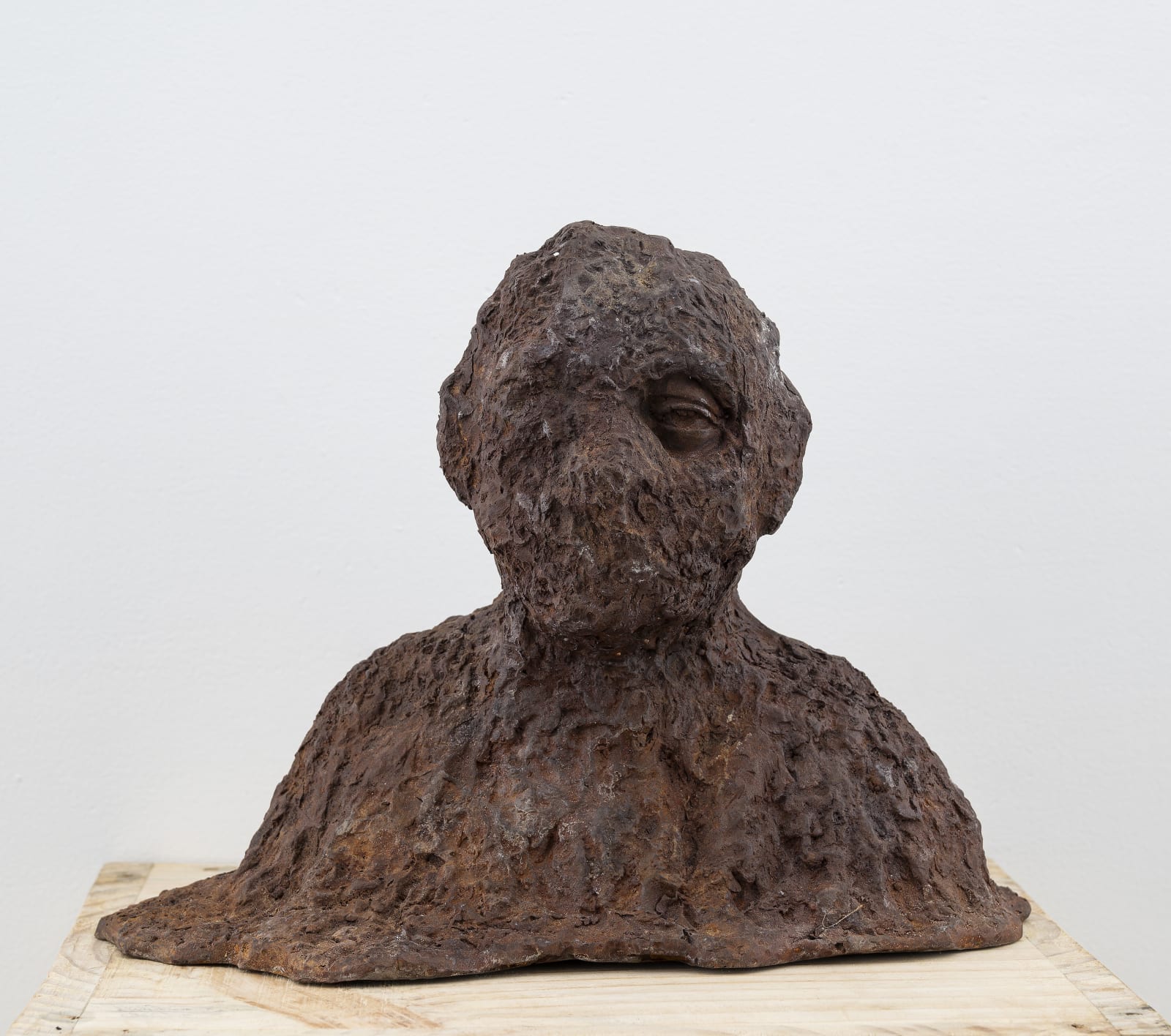 Amol K Patil, A forest of Remembrance S18, 2025