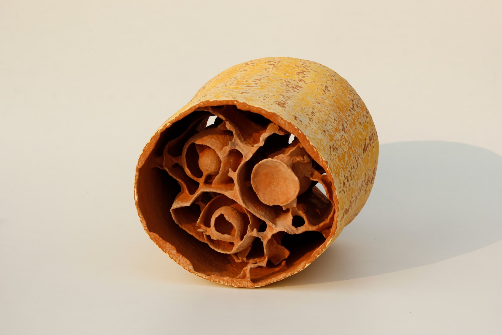 Khageswar Rout, ANNEX & DISSEVER CODE XIX, 2020