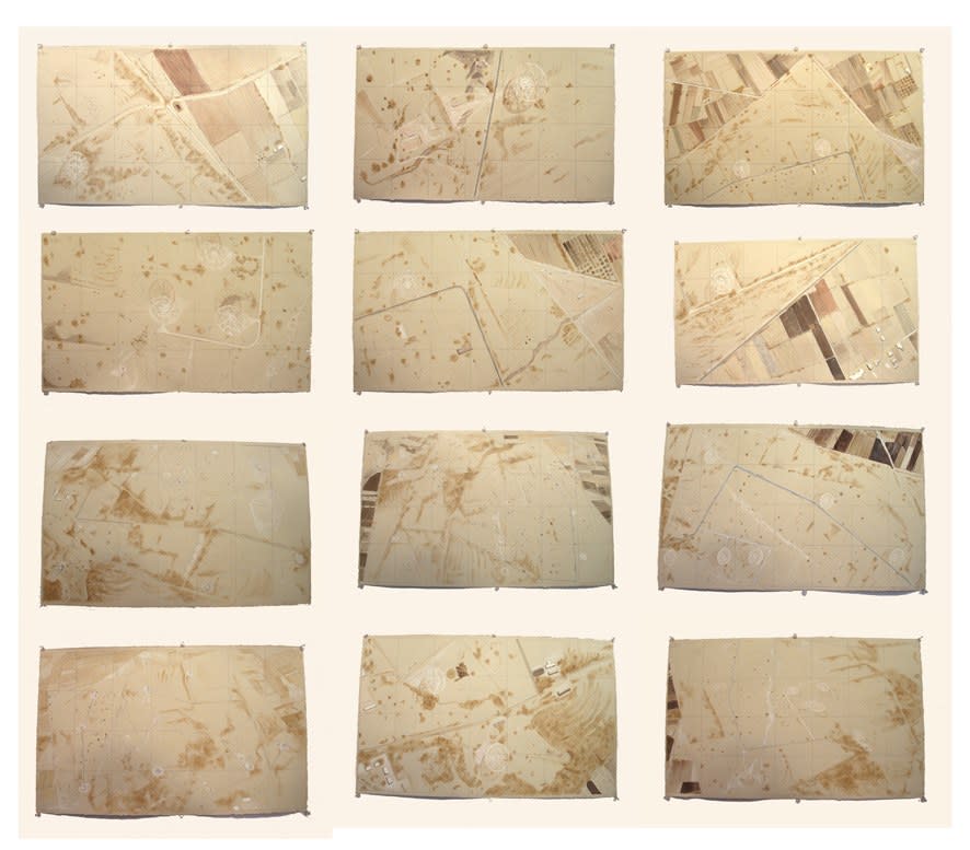 Rohini Devasher, Surface Tracking, 2013