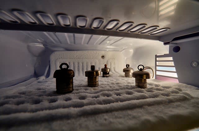 Prajakta Potnis, CAPSULE 309, 2016