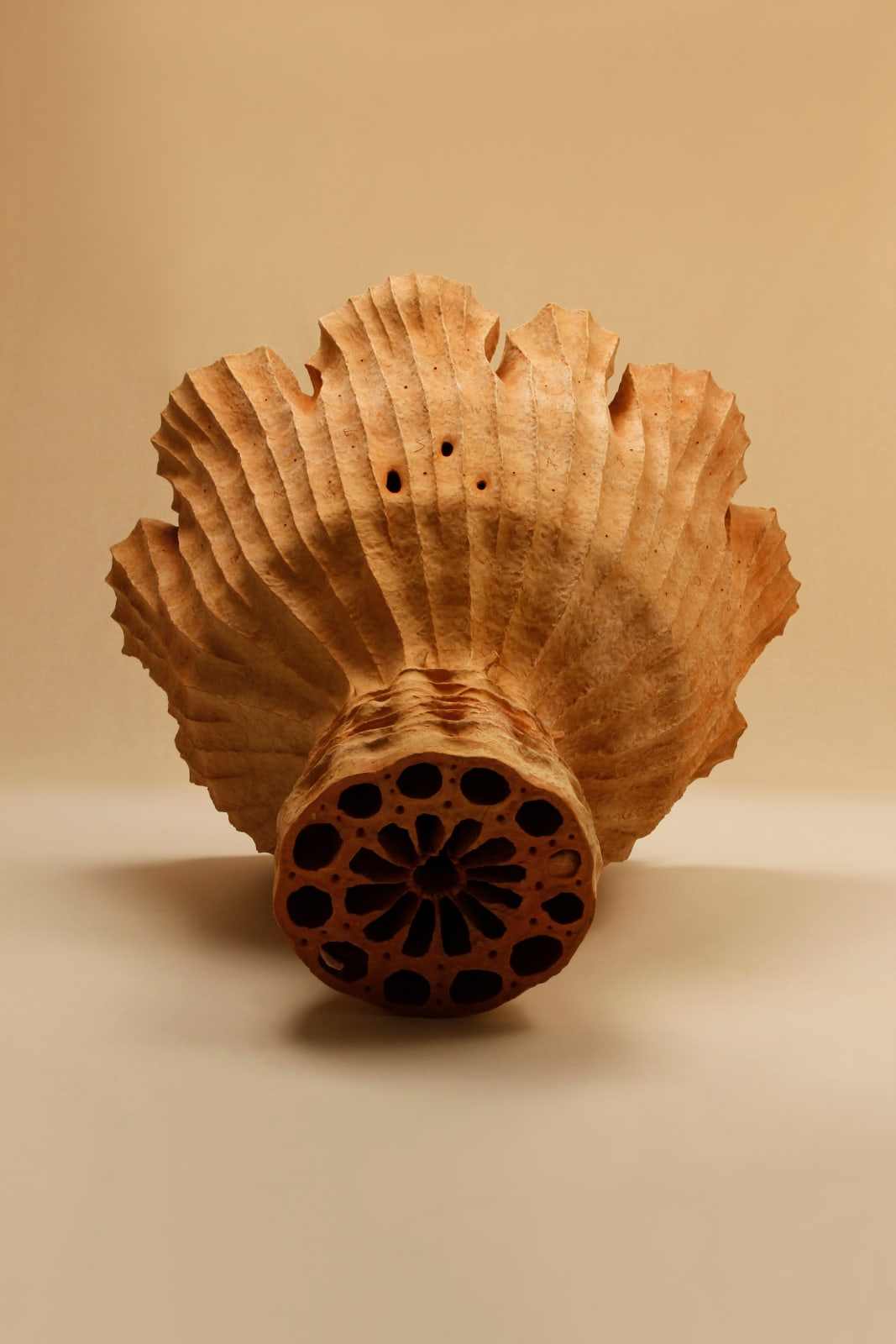 Khageswar Rout, ANNEX & DISSEVER CODE VI