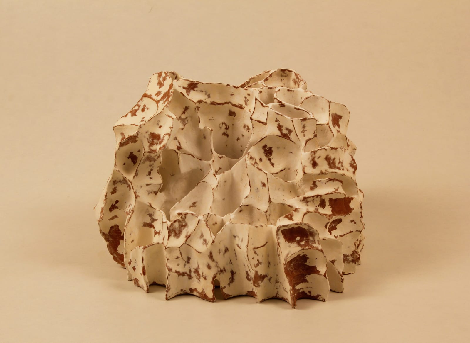 Khageswar Rout, ANNEX & DISSEVER CODE XI, 2020