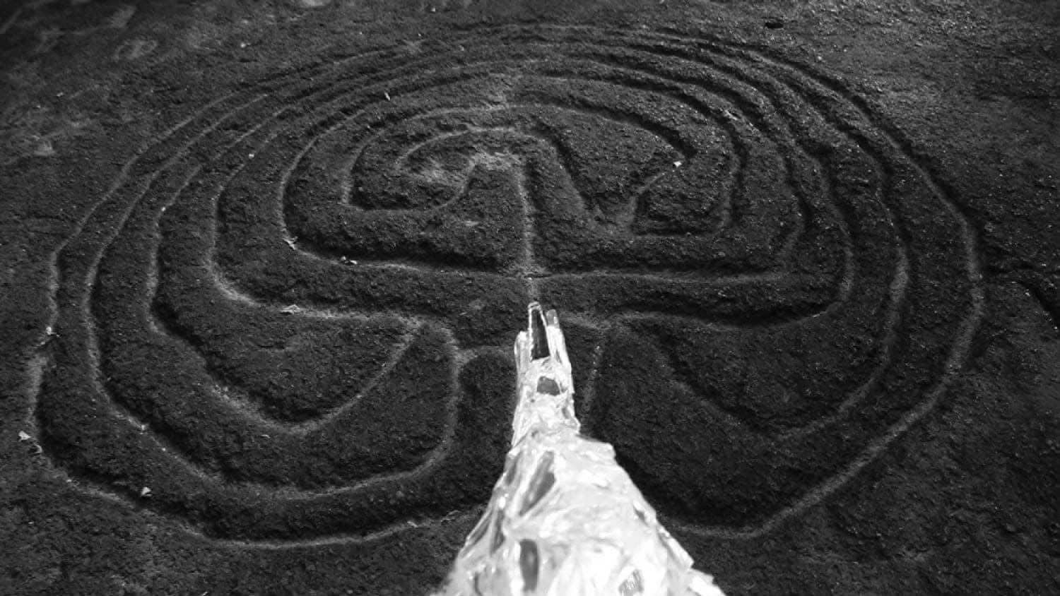 Tejal Shah, Some Kind of Nature, 2013