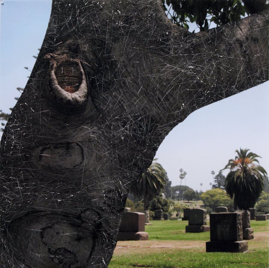 Neha Choksi, Fontana's Smile, 2010