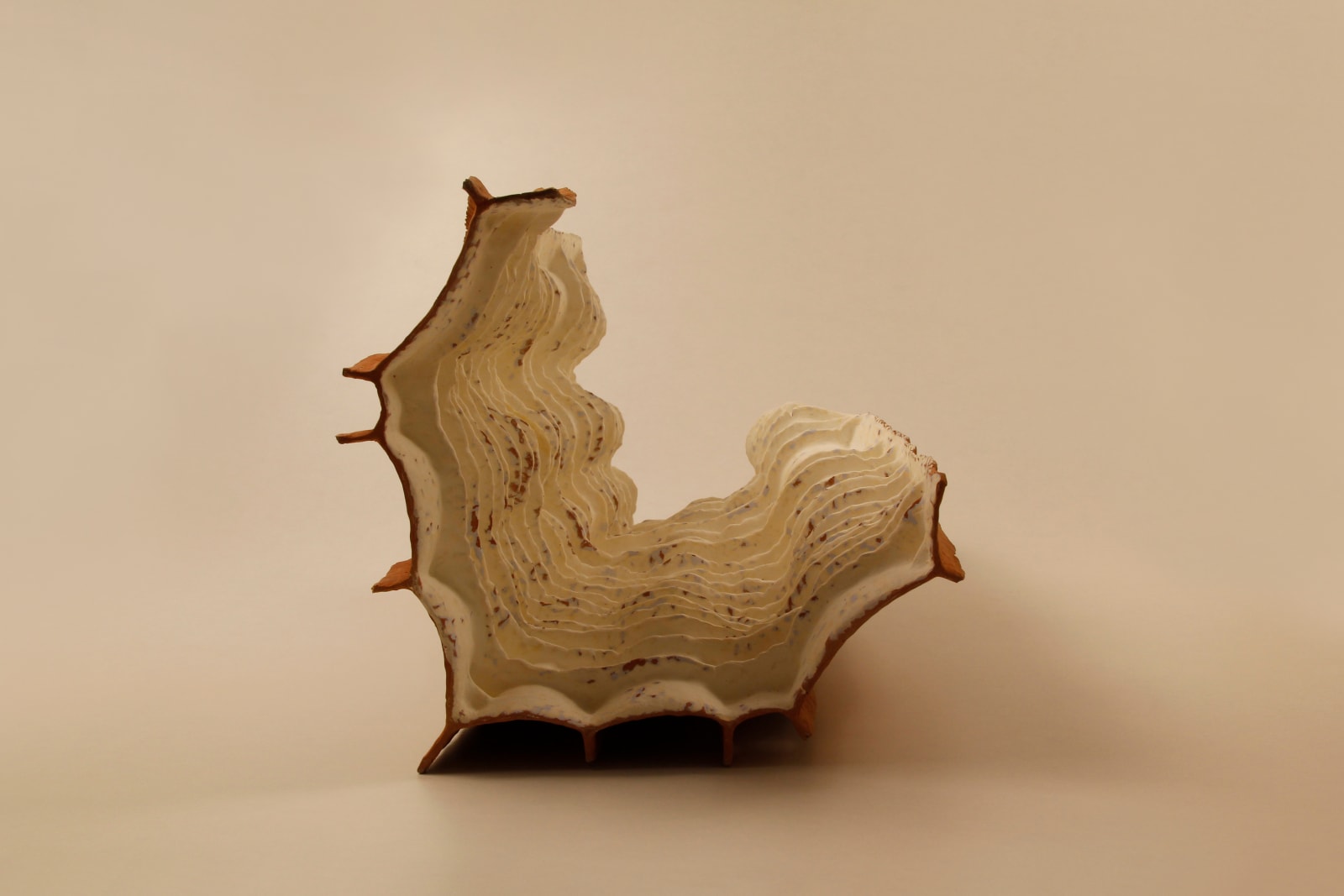 Khageswar Rout, ANNEX & DISSEVER CODE XII, 2020