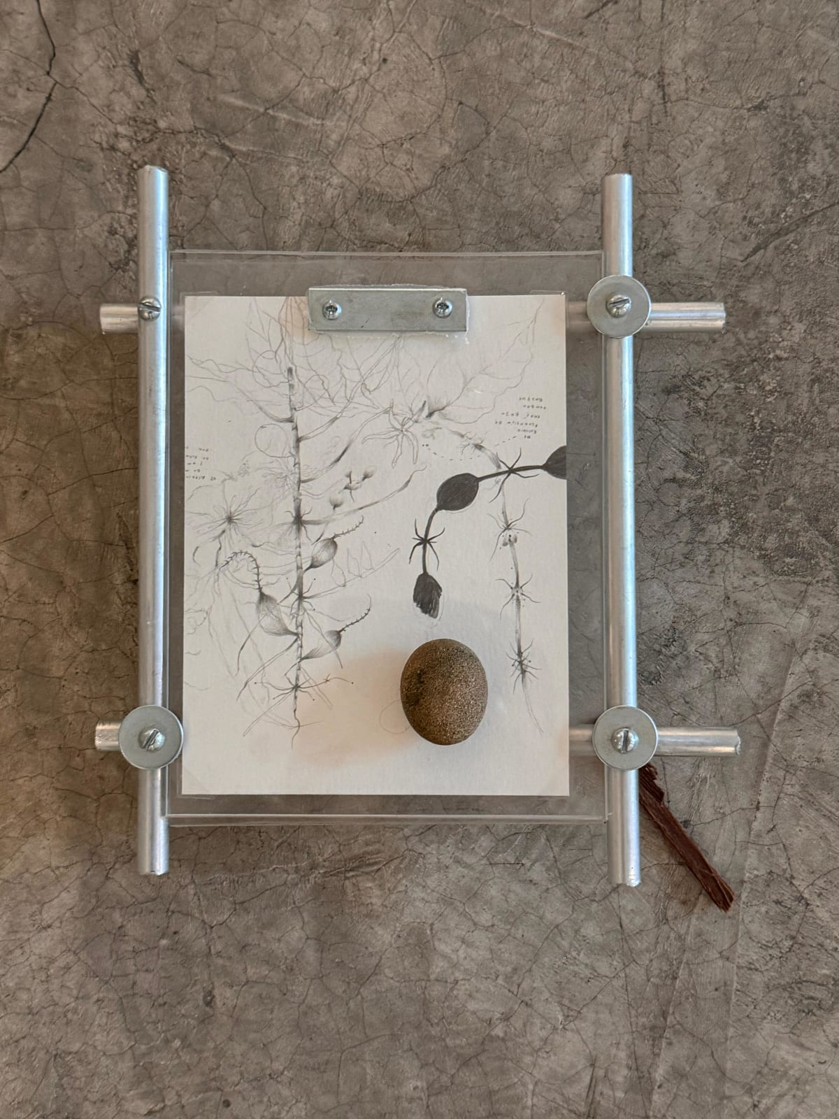 Miguel Cinta Robles, CM/DR3, 2024