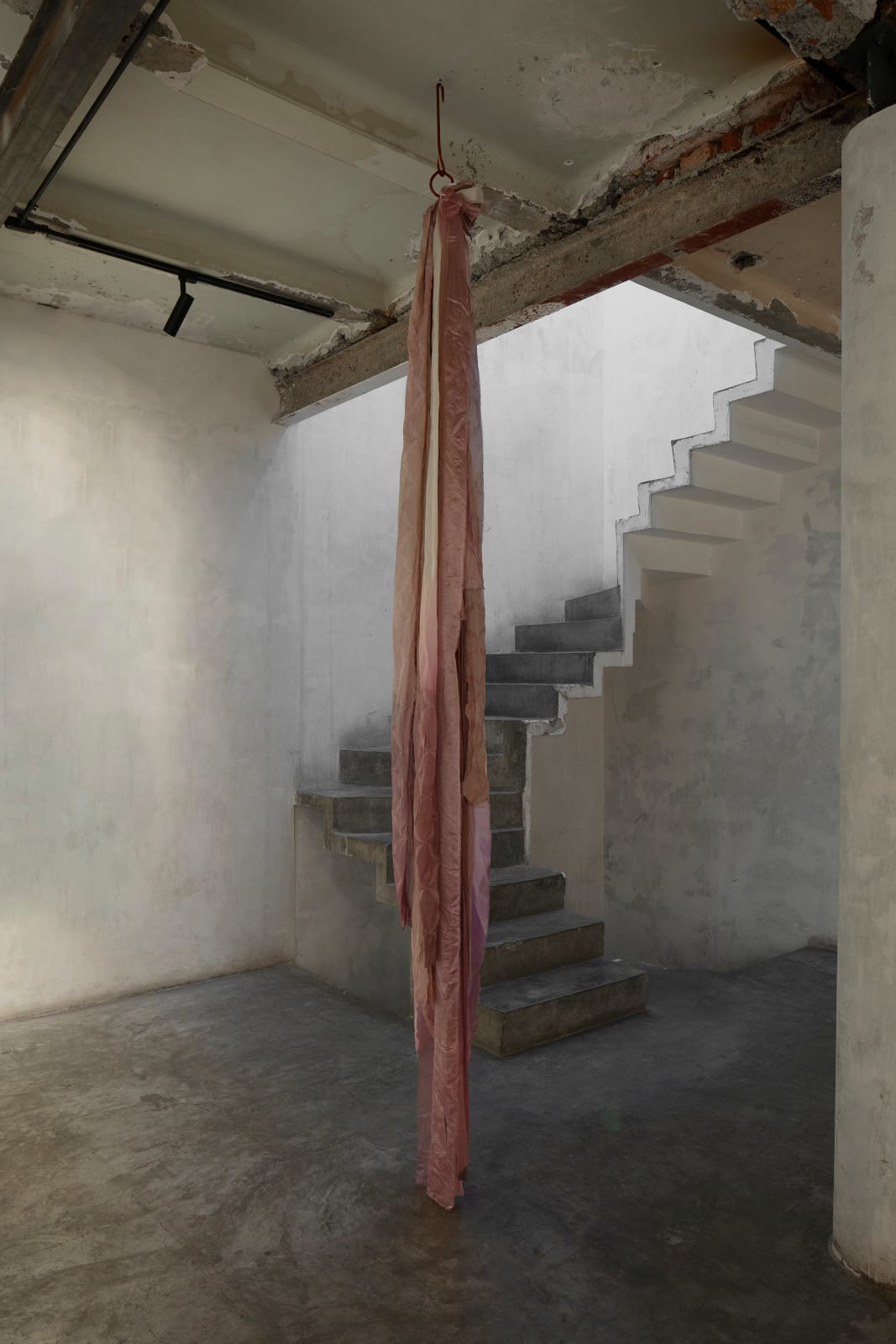 Sofía Bonilla Otoya, Suspiro rosa quinceañera flor de Jamaica, 2025