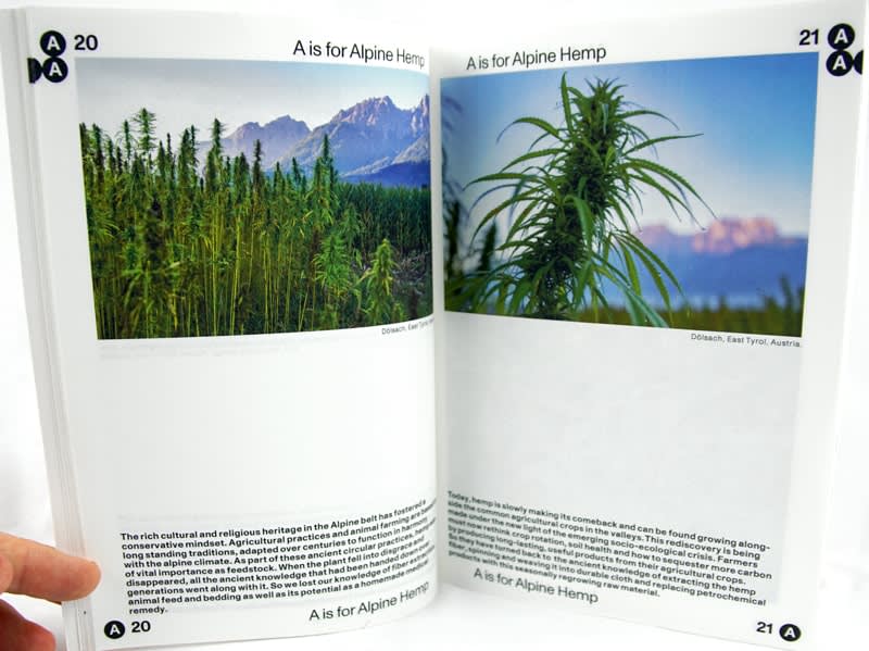 H is for HEMP. Illustrated text spread