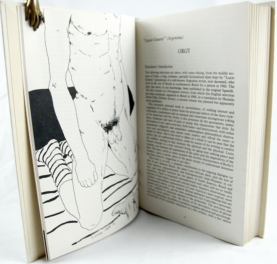 My Deep Dark Pain Is Love. A Collection of Latin American Gay Fiction. Illustrated text spread